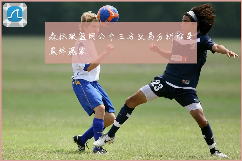 森林狼篮网公牛三方交易分析谁是最终赢家